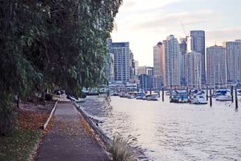 Brisbane Botanical Gardens and river walking path